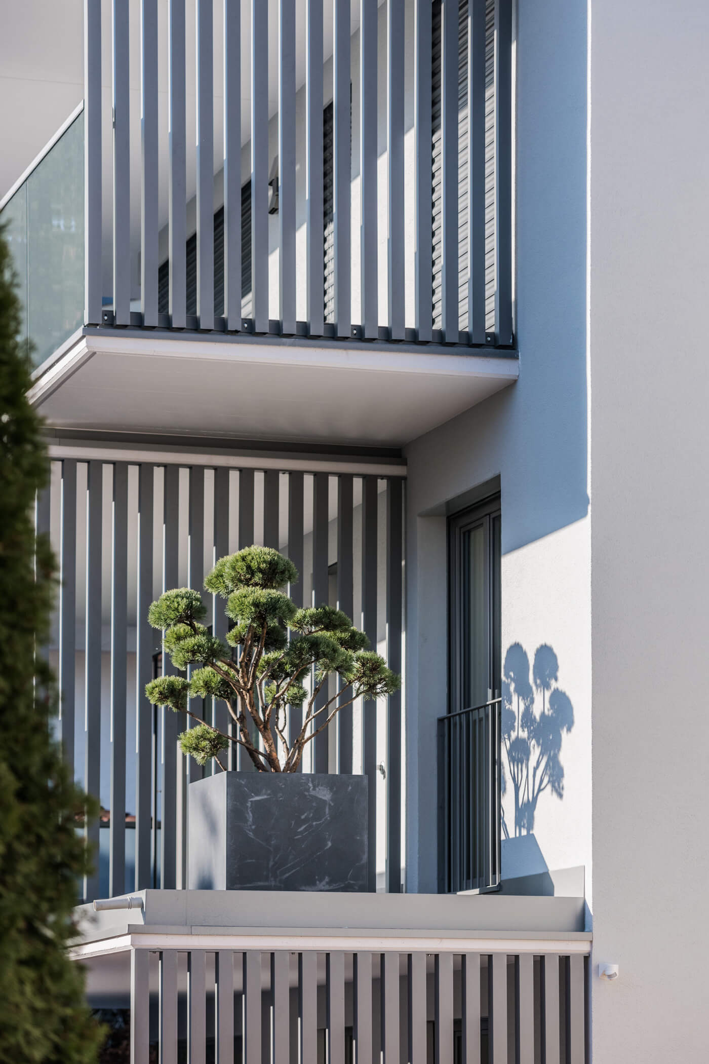 Villa Paola - Detail